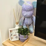 Stylish Rooftop With Terrace Near The In Sint-idesbald