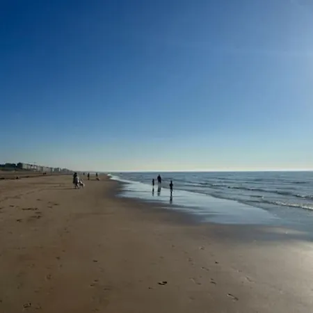 公寓 Causy Rooftop St. Idesbald 科克赛德