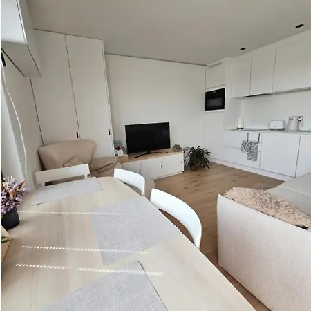 公寓 Causy Rooftop St. Idesbald