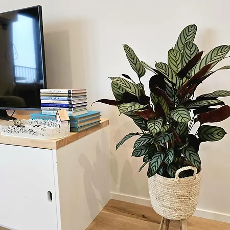 公寓 Causy Rooftop St. Idesbald *