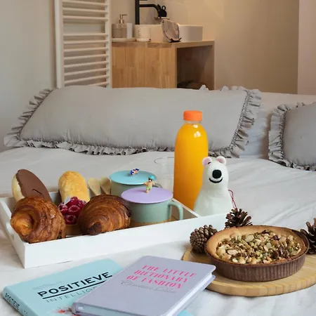 Stylish Rooftop With Terrace Near The In Sint-idesbald Apartamento *